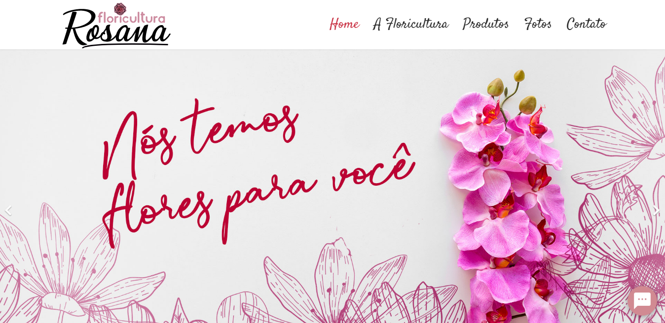 Site Responsivo com CMS